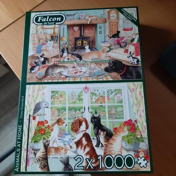 Falcon 2 maal 1000 stukjes Animals at home Claire Comerford beschikbaar voor biedingen