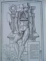 De betekenis van Ambroise Paré, mens, leermeester, chirurg., Gelezen, Overige wetenschappen, Ophalen of Verzenden, Rogge