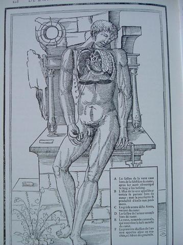 De betekenis van Ambroise Paré, mens, leermeester, chirurg. beschikbaar voor biedingen