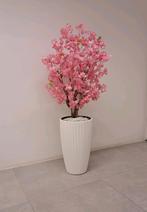 Roze bloesemboom incl pot, Ophalen, Nieuw