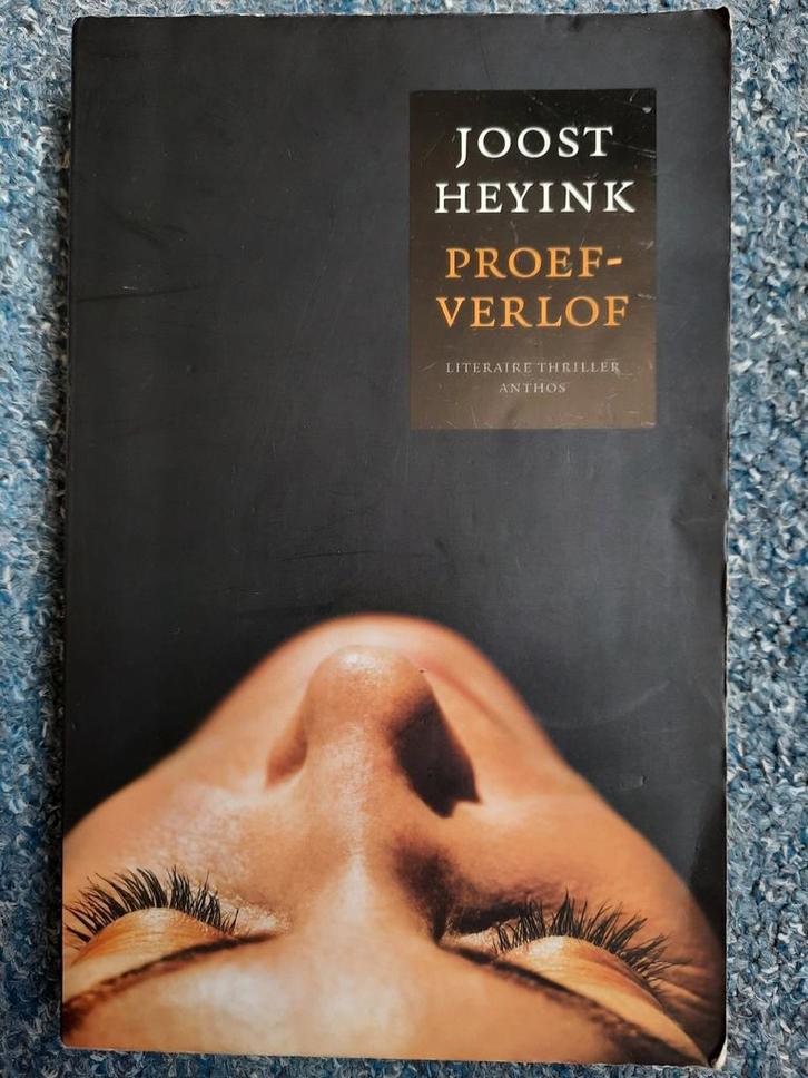 Joost Heyink - PROEFVERLOF, Boeken, Thrillers, Zo goed als nieuw, Ophalen of Verzenden
