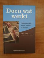 Coert Visser - Doen wat werkt (Oplossingsgericht werken !), Ophalen of Verzenden, Nieuw, Coert Visser