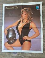 Grote Jaren '90 Poster van Samantha Fox !, Ophalen of Verzenden, Zo goed als nieuw, Rechthoekig Staand