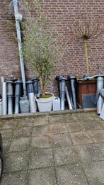 Diverse maten ventilatie buizen, dak doorvoeren, Doe-het-zelf en Verbouw, Ventilatie en Afzuiging, Ophalen, Afzuiger