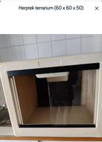 Herptek terrarium 60 x 60 x 50 cm, Dieren en Toebehoren, Reptielen en Amfibieën | Toebehoren, Ophalen, Gebruikt, Terrarium of Paludarium