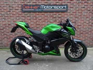 Kawasaki Z300 # ABS # 2016 # 29.900KM # 35KW # + Vele opties beschikbaar voor biedingen