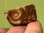 Chocolade calciet edelsteen broekzaksteen trommelsteen, Ophalen of Verzenden, Mineraal