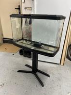 Te koop: compleet FLUVAL Aquarium 87 Liter met onderstel, Dieren en Toebehoren, Vissen | Aquaria en Toebehoren, Ophalen, Zo goed als nieuw
