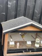 Prachtige Douglas voliere of vogelhok, Dieren en Toebehoren, Ophalen of Verzenden, Zo goed als nieuw, Hout, Volière