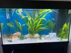 JUWEL Aquarium Rio 125 L, Dieren en Toebehoren, Vissen | Aquaria en Toebehoren, Ophalen, Zo goed als nieuw, Leeg aquarium