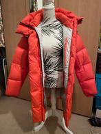 Oranje Parajumpers PolarPuffers Jas maat 36 (S), Ophalen of Verzenden, Zo goed als nieuw, Maat 36 (S), Oranje