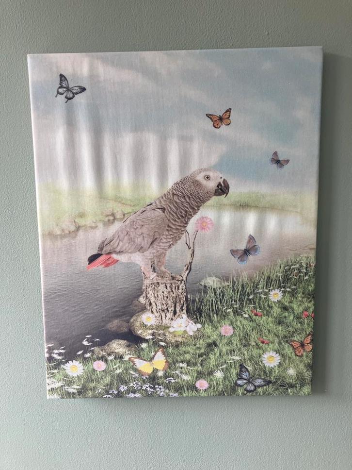 Papegaai Schilderij met Vlinders, Huis en Inrichting, Woonaccessoires | Schilderijen, Tekeningen en Foto's, Zo goed als nieuw