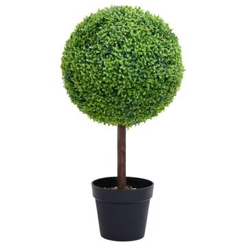 Buxusbol buxus kunstplant bolvormig 50 cm GRATIS BEZORGD! beschikbaar voor biedingen