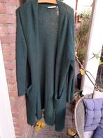 vest sissyboy, Kleding | Dames, Truien en Vesten, Sissy-Boy, Ophalen of Verzenden, Gedragen, Groen