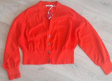 NIEUW! Kort katoenen vest ESPRIT 38/40 of M beschikbaar voor biedingen