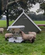 Nieuwe Hooiruif voor schapen en geiten, Dieren en Toebehoren, Schapen, Geiten en Varkens, Meerdere dieren, Schaap