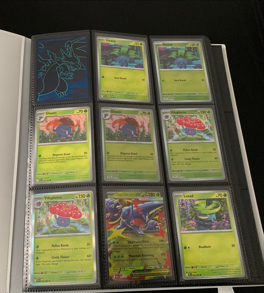 Phantasmal Flames base set compleet + Map & Hits, Ophalen, Zo goed als nieuw, Meerdere kaarten, Foil