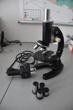 Euromex Microscoop, Ophalen, Gebruikt, Biologische microscoop