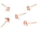 Oorstekers met oogje 17 x 8,5 mm in rosé goudkleur (2 paar), Verzenden, Nieuw, Overige typen
