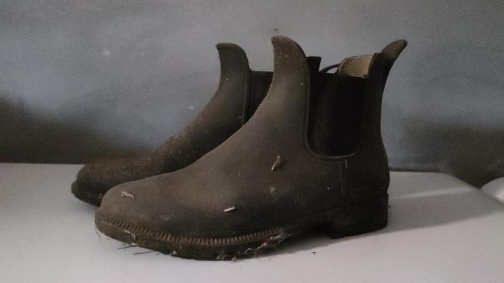 jophurs, Dieren en Toebehoren, Paardrijkleding, Gebruikt, Dames, Kinderen, Schoeisel, Ophalen of Verzenden