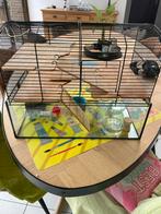 Hamster kooi incl accesoires, Dieren en Toebehoren, Kooi, Gebruikt, Minder dan 75 cm, Hamster