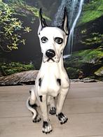 Groot Deens Dog Beeld  80 cm., Verzamelen, Ophalen, Zo goed als nieuw, Dier