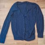 Damesvest Anni Rolfi blauw maat L, Ophalen of Verzenden, Gedragen, Maat 38/40 (M), Blauw