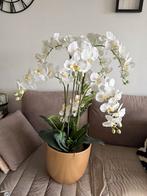 Mooie kunstplant in pot van Intratuin, Huis en Inrichting, Woonaccessoires | Kunstplanten en Kunstbloemen, Ophalen, Zo goed als nieuw