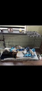 Hondenbench XXXL, 136 cm!!, Dieren en Toebehoren, Ophalen, Gebruikt