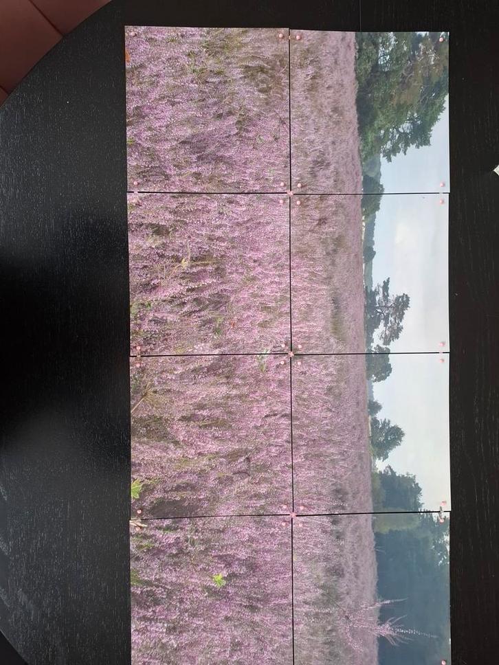 IXXI Collage Drunense Duinen, Huis en Inrichting, Woonaccessoires | Schilderijen, Tekeningen en Foto's, Zo goed als nieuw, Foto of Poster