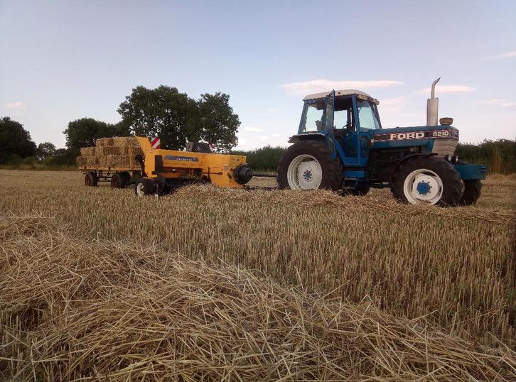 Kleine hooibaaltjes, kleine balen hooi, Dieren en Toebehoren, Dierenvoeding, Vee, Ophalen