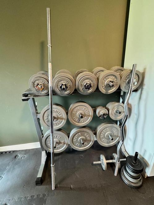 Fitness gewichtenen, schijven, halters, dumbells, Sport en Fitness, Fitnessmaterialen, Zo goed als nieuw, Halterschijven, Ophalen