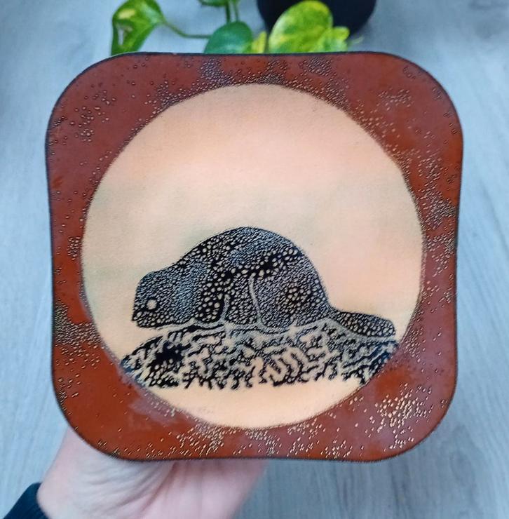 Bever canada 1977 eren art plaque, emaille op koper, Antiek en Kunst, Antiek | Koper en Brons, Ophalen of Verzenden