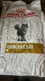 Royal canin, Dieren en Toebehoren, Dierenvoeding, Ophalen of Verzenden, Kat