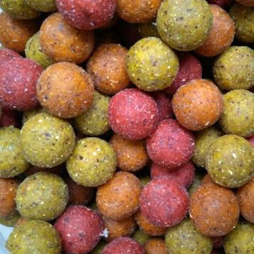 Boilie Mix Boilies 10kg - Karper aas beschikbaar voor biedingen