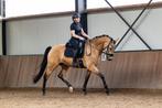 Zadelmak maken / training / africhting / doorrijden