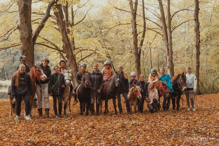 Betrouwbare beginnerspony’s , sportpony’s & Familiepony’s, Dieren en Toebehoren, Pony's, Ruin, B, B pony (1.17m tot 1.27m), Recreatiepony