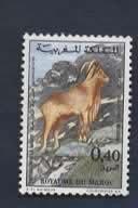 Fauna - Dieren - Moeflon (?) - Marokko 0,40 - p.fr. (pl.r.), Ophalen of Verzenden, Postfris, Dier of Natuur