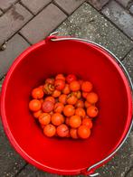 40 oranje golfballen, Sport en Fitness, Golf, Overige merken, Gebruikt, Bal(len), 6603EB