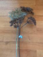 Droogbloemen, zie foto, s, Ophalen of Verzenden, Zo goed als nieuw