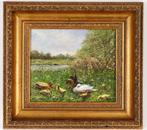 Eendenfamilie circa 1970 Frauenfelder mooie schilderij, Antiek en Kunst, Ophalen