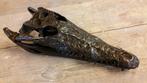 Brons / SCHEDEL van een KROKODIL / nieuw/ €149,-, Ophalen of Verzenden, Nieuw, Wild dier, Schedel