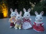 Sylvanian family • familie chocolade konijn, Kinderen en Baby's, Speelgoed | Poppenhuizen, Ophalen, Zo goed als nieuw