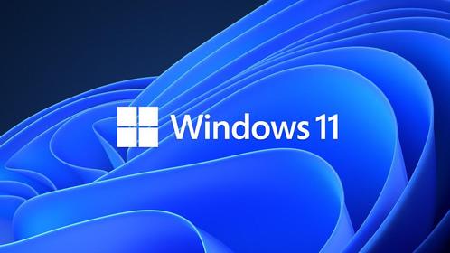 Windows 11 Pro install recover herstel sandisk usb 128gb, Computers en Software, Besturingssoftware, Nieuw, Windows, Ophalen of Verzenden