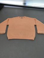 Trui Studio Anneloes L peach/zalmkleurig, Maat 42/44 (L), Ophalen of Verzenden, Gedragen, Overige kleuren