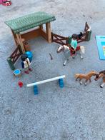 Spirit set, Kinderen en Baby's, Speelgoed | Playmobil, Ophalen of Verzenden, Zo goed als nieuw