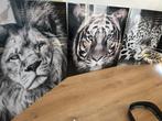 3 schilderijen op glas, Ophalen