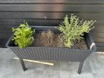 KETER Hoog bloembed, kweektafel, antraciet, Tuin en Terras, Ophalen, Kunststof, Minder dan 60 cm, Rond
