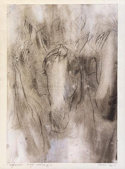 Doet Boersma - Tegearre - 50x40 Droge naald ets - Paarden, Antiek en Kunst, Kunst | Schilderijen | Modern, Ophalen of Verzenden
