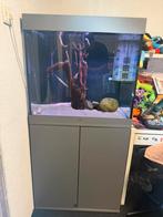 Juwel lido 200 zgan compleet 200 liter grijs oase biomaster, Dieren en Toebehoren, Vissen | Aquaria en Toebehoren, Ophalen, Zo goed als nieuw